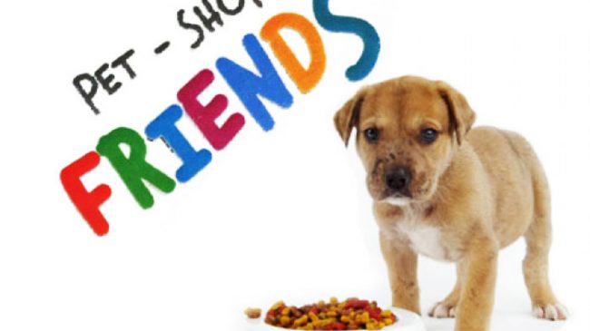 PET SHOP FRIENDS